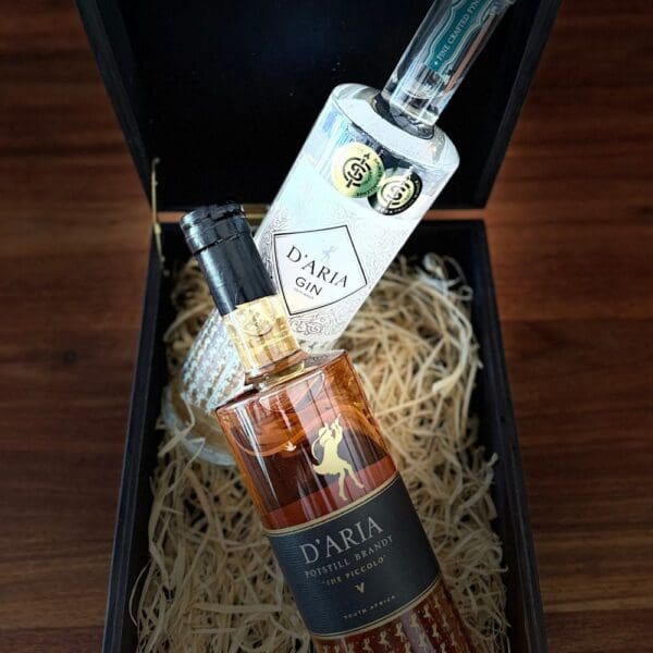 The Spirits Box