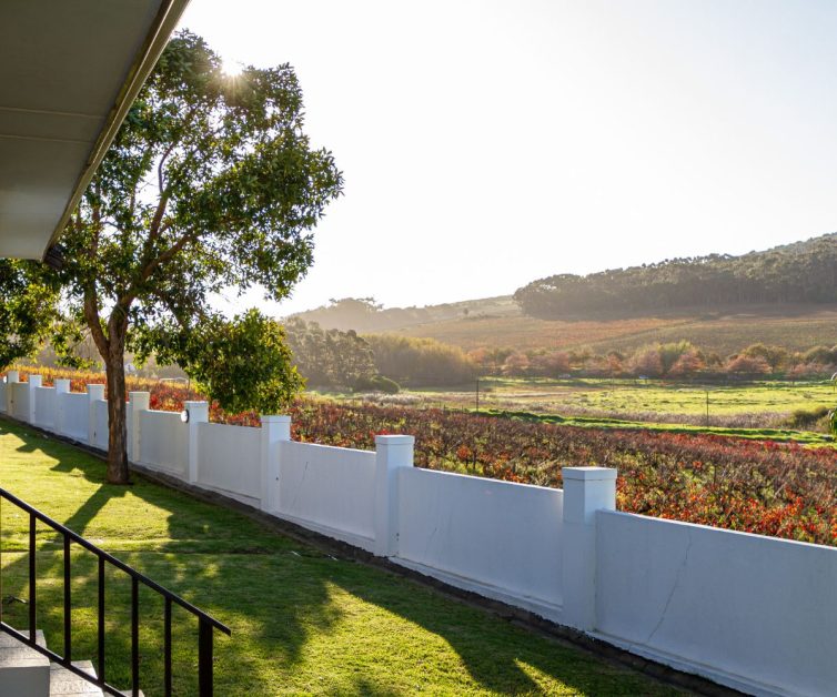 Untitled design (87)