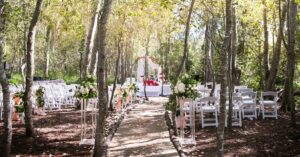 Intimate wedding venues in Cape Town Feature Image-Forest wedding ceremony venue set up at D'Aria Winery