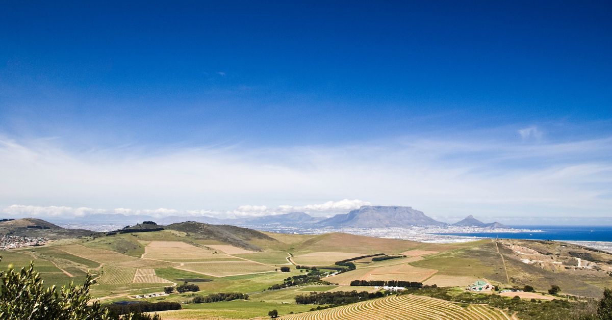 Durbanville Wine Valley