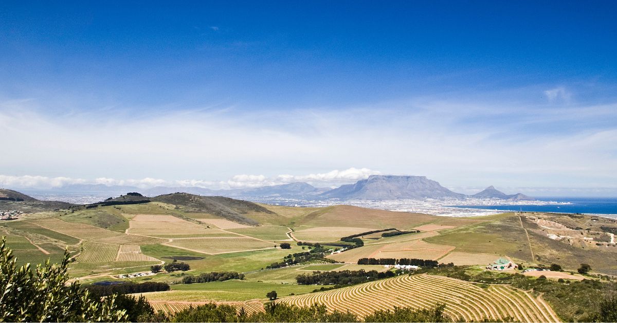 Hiking trails, vineyards and the view of the ocean and Table Mountain