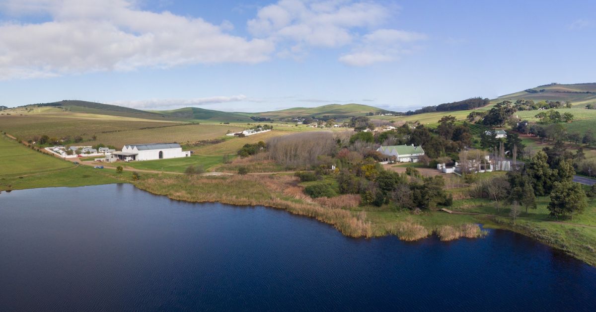 durbanville wine route feature image