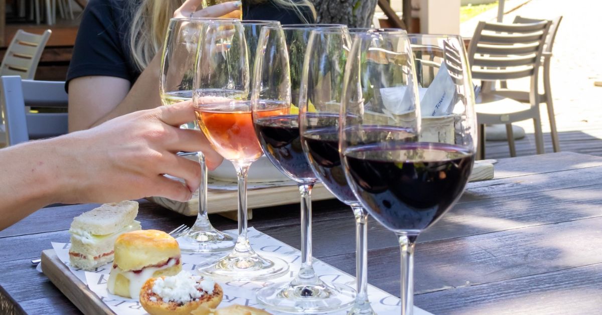 wine pairing durbanville - Person tasting D'Aria Wines