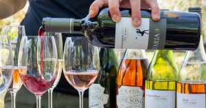 wine pairing durbanville feature image