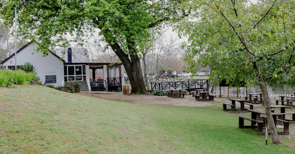 kid friendly wine farms - Outside D'Aria's Tasting Room showing the green grass and area