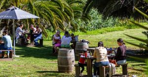 kid friendly wine farms feature image