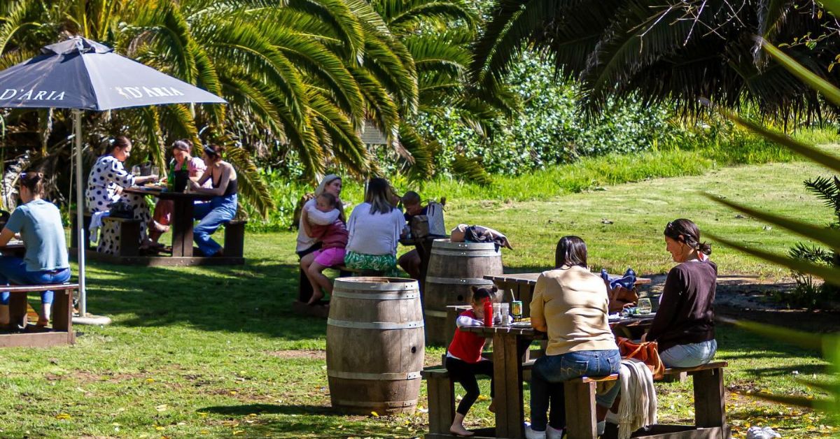 kid friendly wine farms feature image