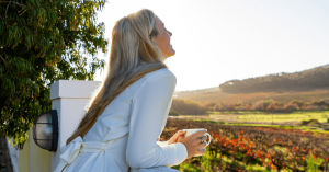 Self-Catering Accommodation in Durbanville Feature Image