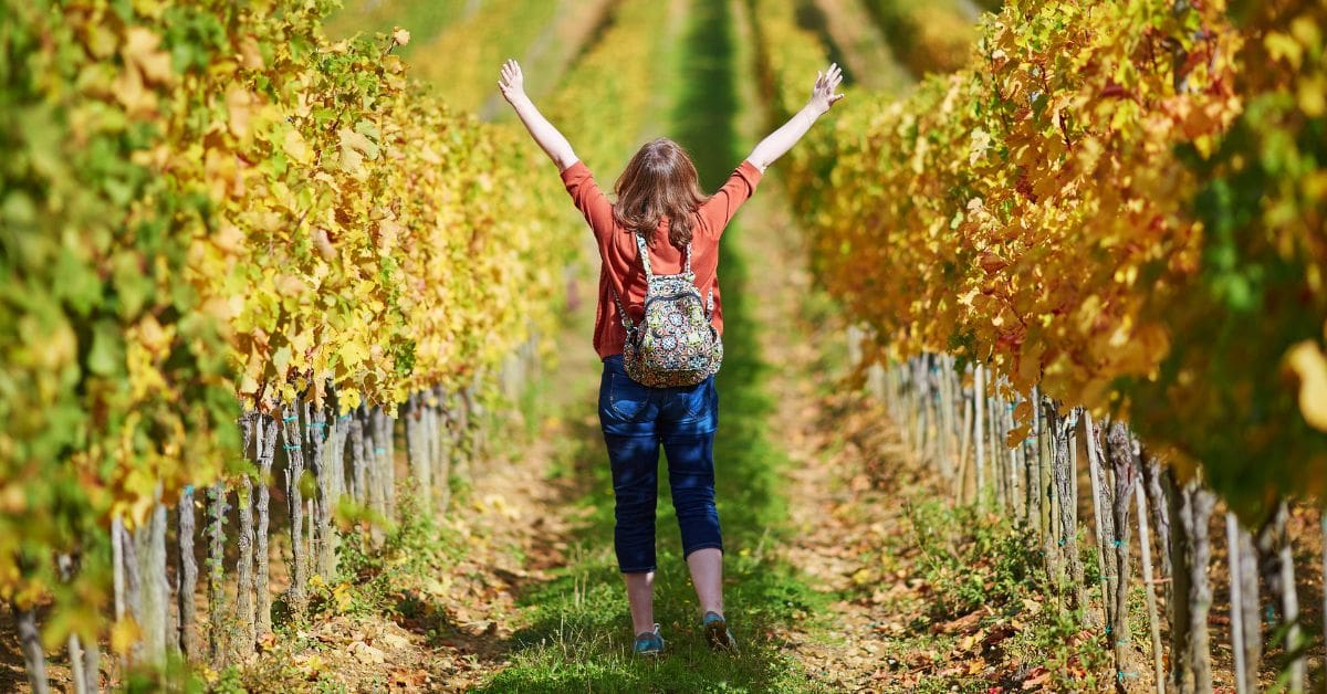 A person walking through the duranville vineyards with their arms raised