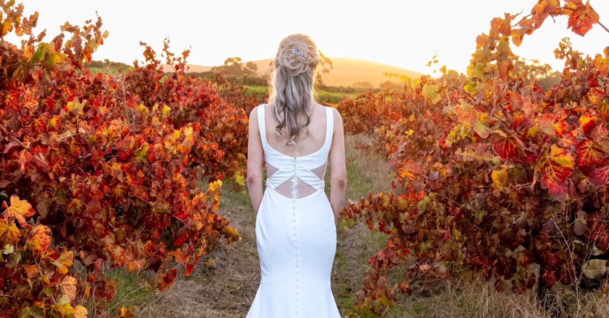 A bride standing in the D'Aria vineyards